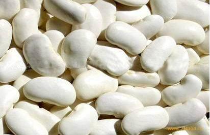 白芸豆